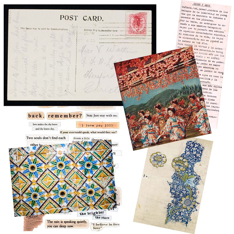 Recursos utilizados en el collage