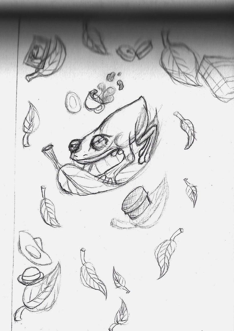 Boceto