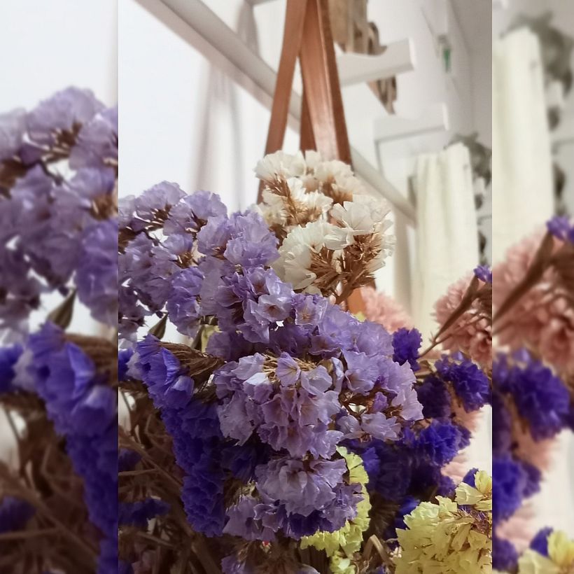 Mi proyecto del curso: Decoración de interiores con estilo farmhouse 9