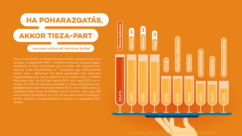 Infographic editorial design for a hungarian survey  7