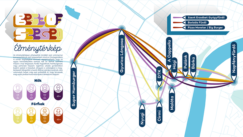 Infographic editorial design for a hungarian survey  13