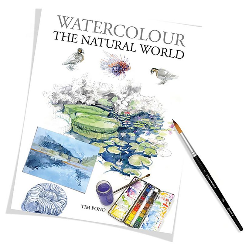 Learn to paint in watercolour a multitude of plants, animals and places from my latest book.