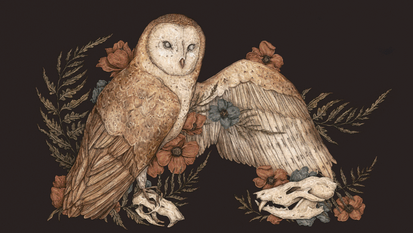 Des illustrations de Jessica Roux