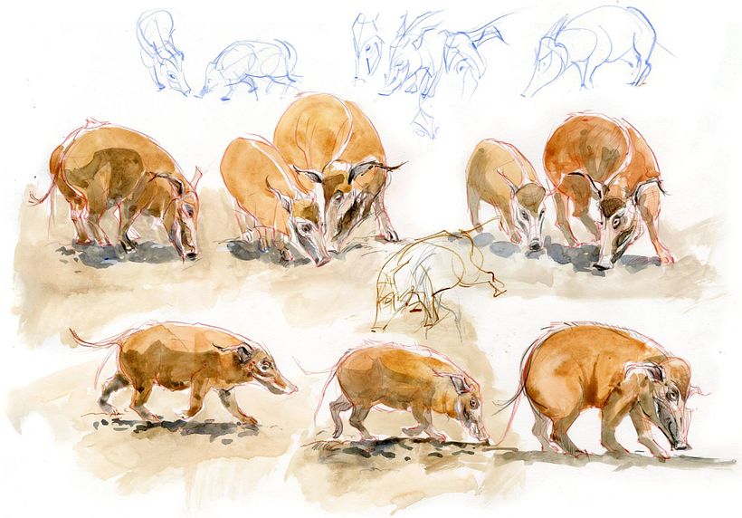 The Field Guide to Drawing & Sketching Animals 21