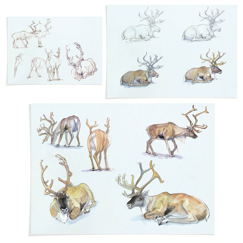 Watercolour the Natural World 8