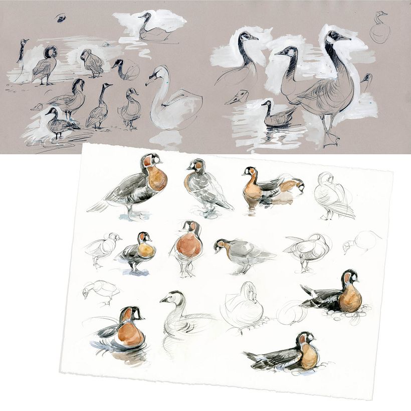 Watercolour the Natural World 12