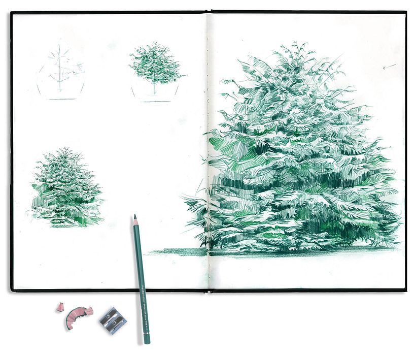 Watercolour the Natural World 15