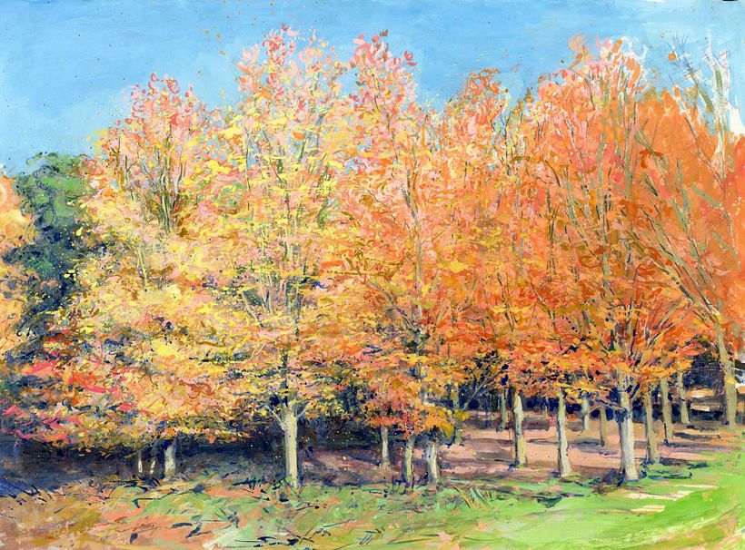 Watercolour the Natural World 16