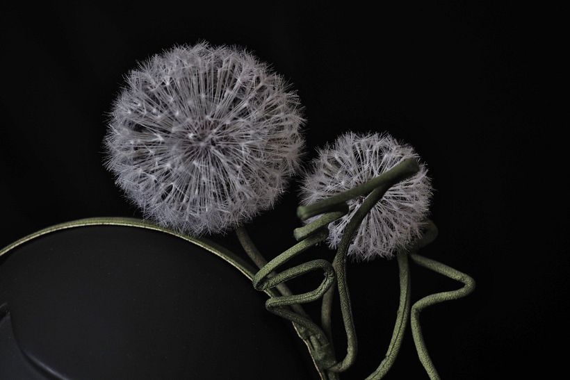 Silk Dandelion Detail
