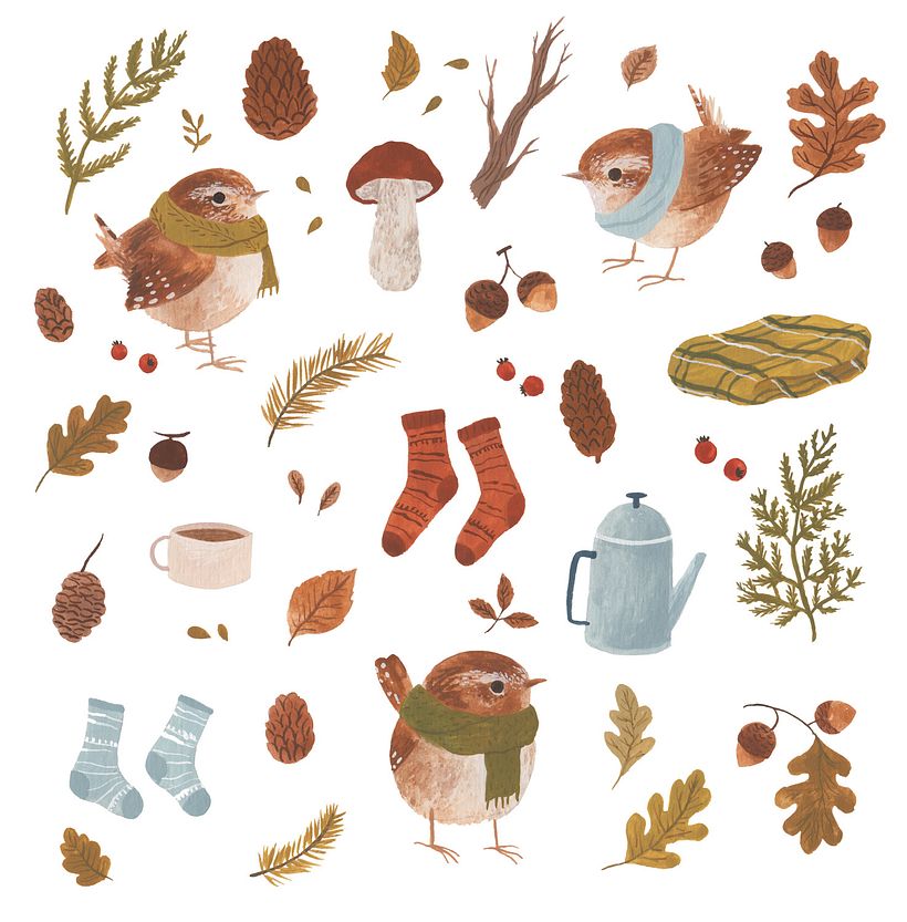 Cosy little wrens 