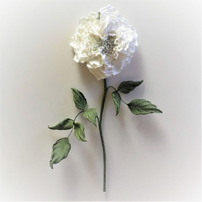 Linen Rose on a Stem