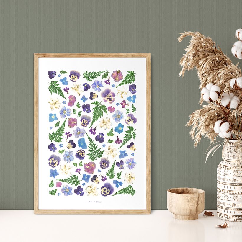 Herbier Constellation