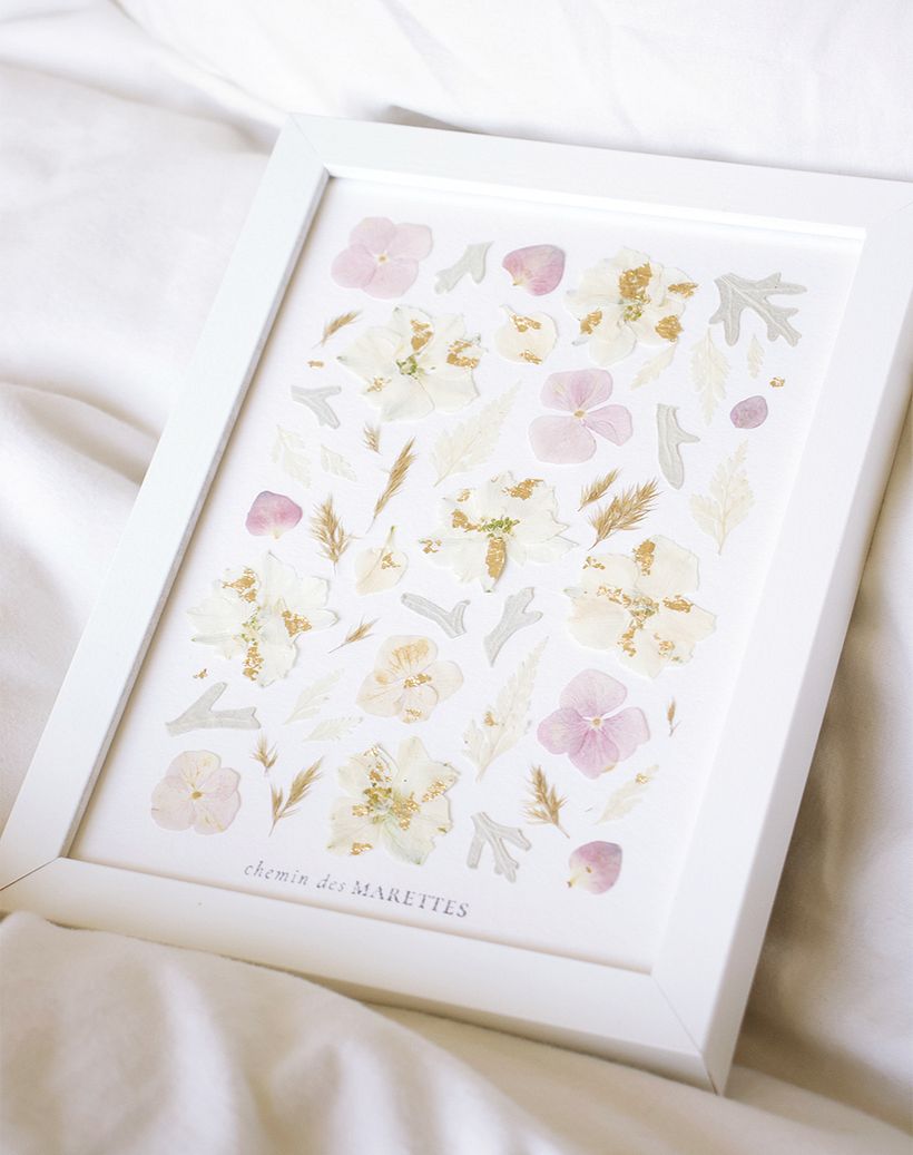 Herbier Étincelle