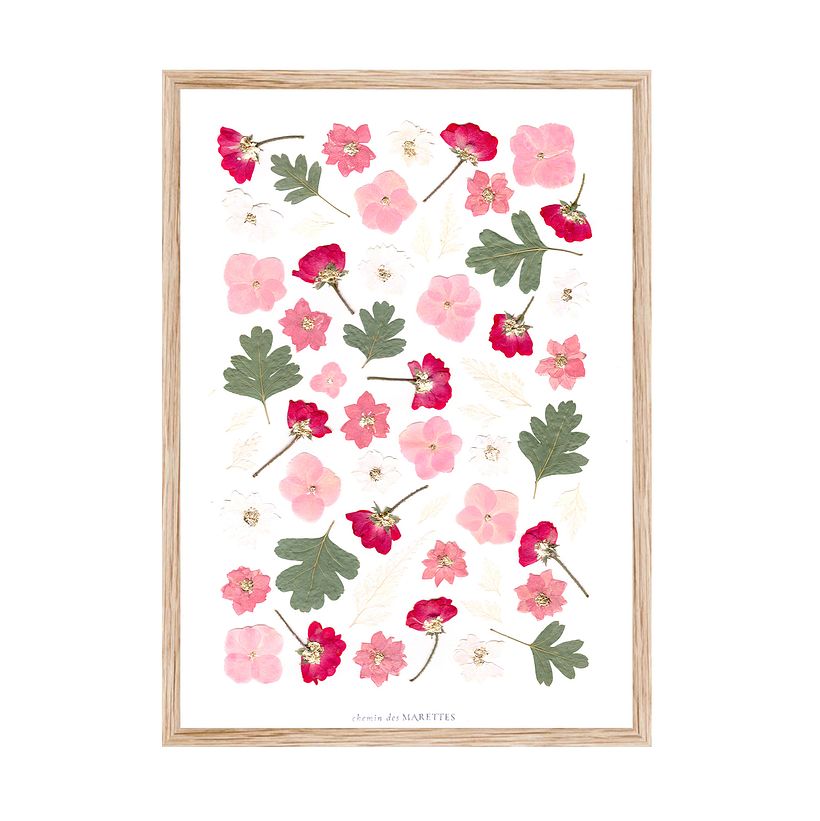 Herbier Étoile