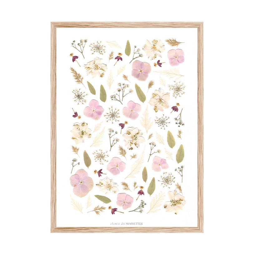 Herbier Polaire