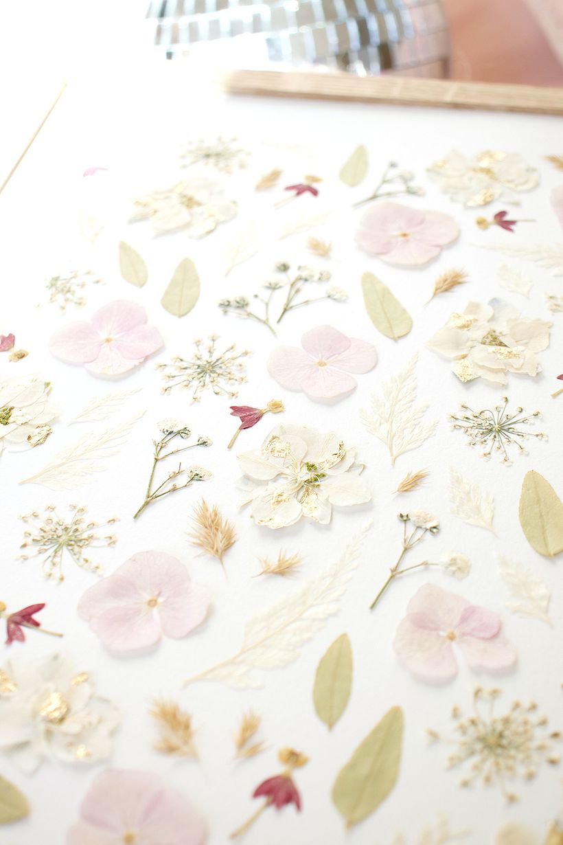 détails Herbier Polaire