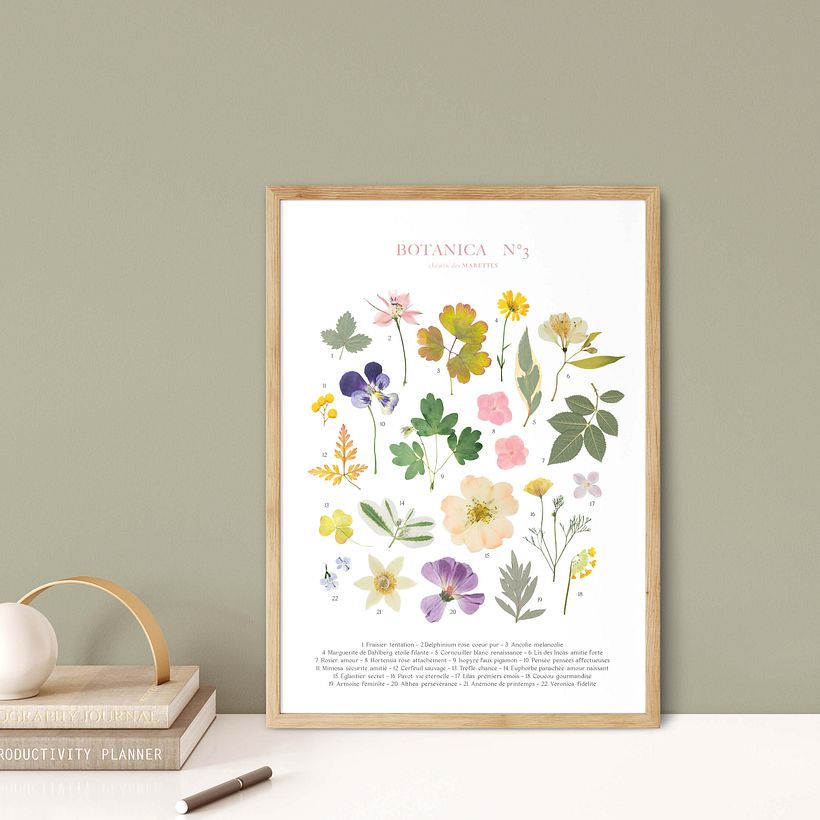Botanica, collection d'affiches - Dirección de arte