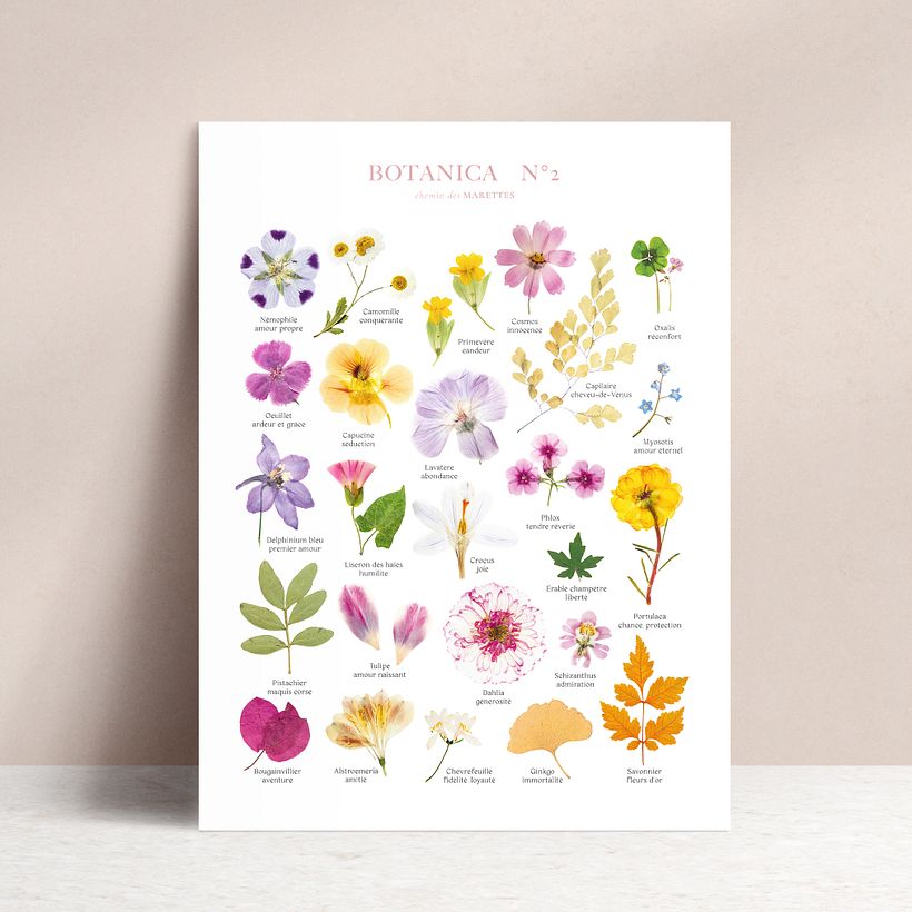 Botanica, collection d'affiches - Dirección de arte