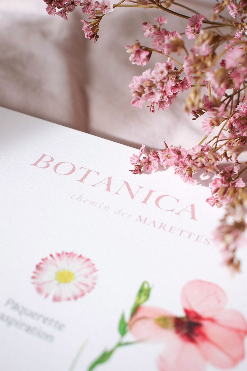 Botanica, collection d'affiches - Dirección de arte