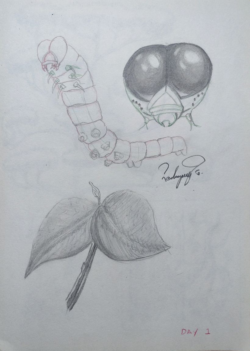My project in Daily Sketching for Creative Inspiration course 3