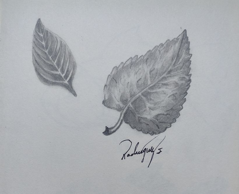 My project in Daily Sketching for Creative Inspiration course 8