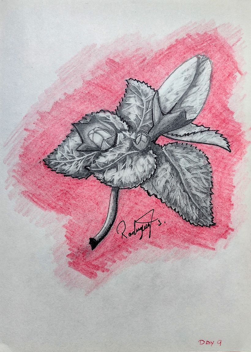 My project in Daily Sketching for Creative Inspiration course 10
