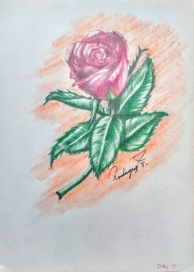 My project in Daily Sketching for Creative Inspiration course 13