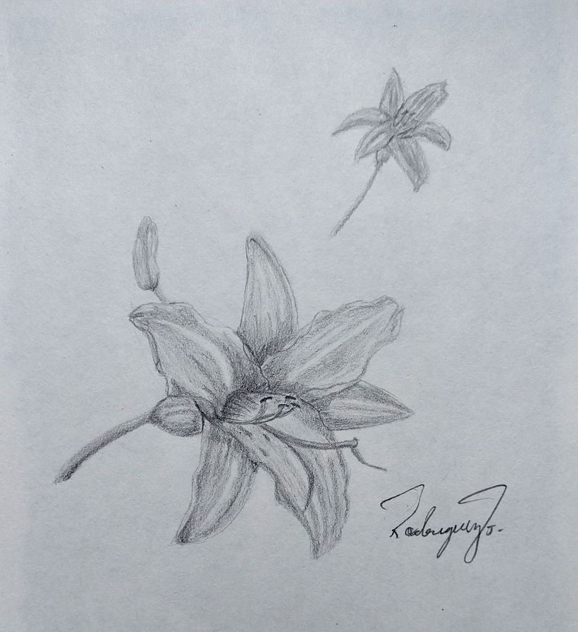 My project in Daily Sketching for Creative Inspiration course 25