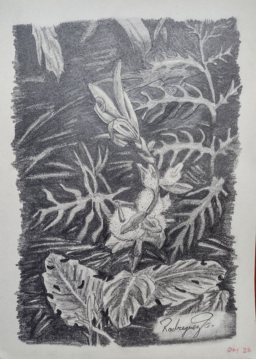 My project in Daily Sketching for Creative Inspiration course 26