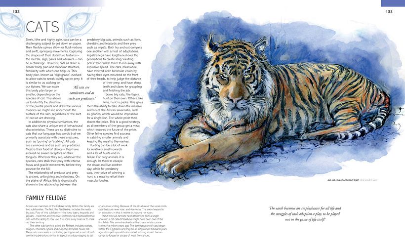 The Field Guide to Drawing & Sketching Animals 18