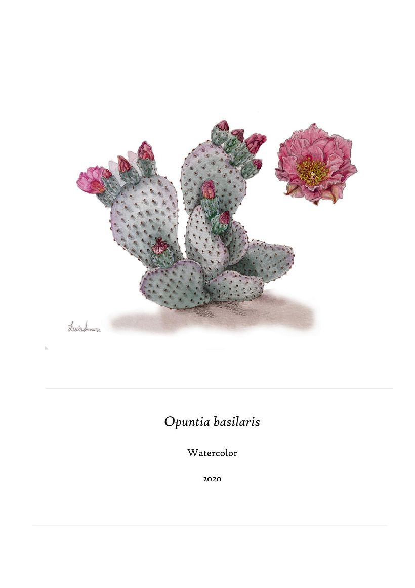 Cuentos de hadas para la flora nativa 9