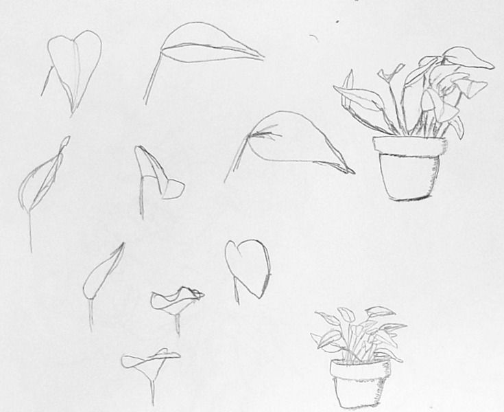 My project for course: Creative Drawing Techniques for Beginners - Geleneksel illüstrasyon