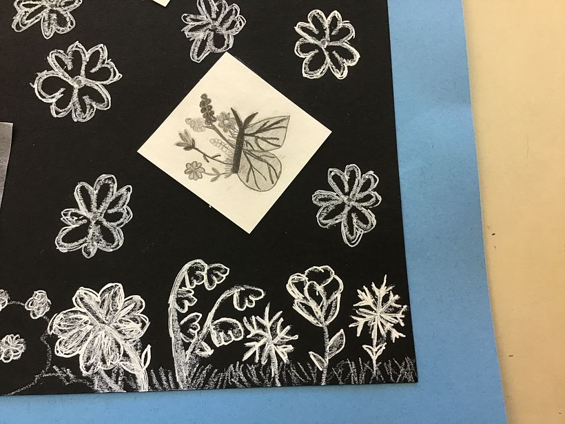 Converse Shoe Drawing and Butterfly’s 3