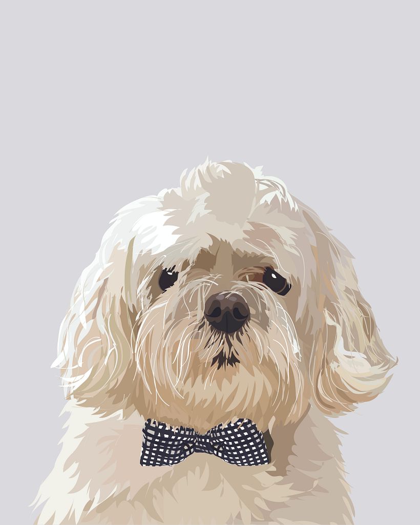 Pet Illustrations 3