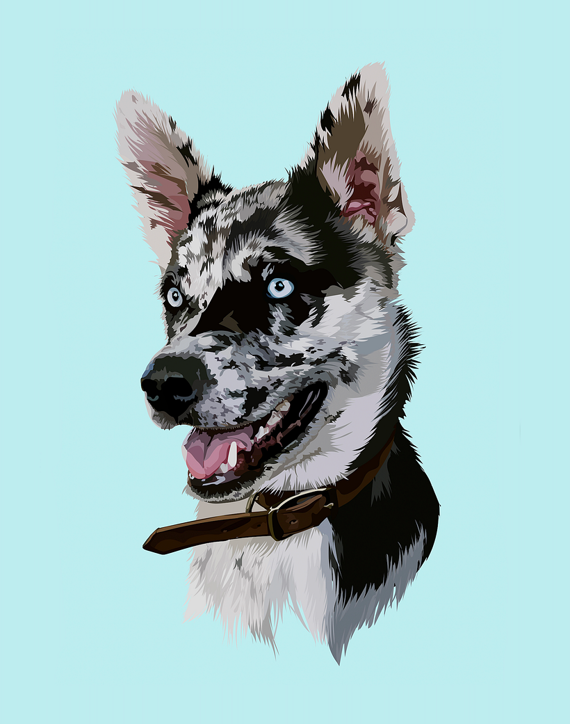 Pet Illustrations 1