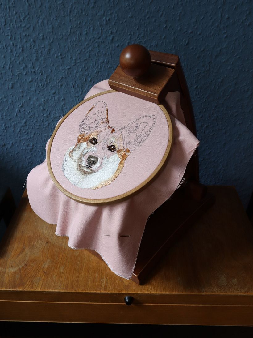 Royal Corgi 4