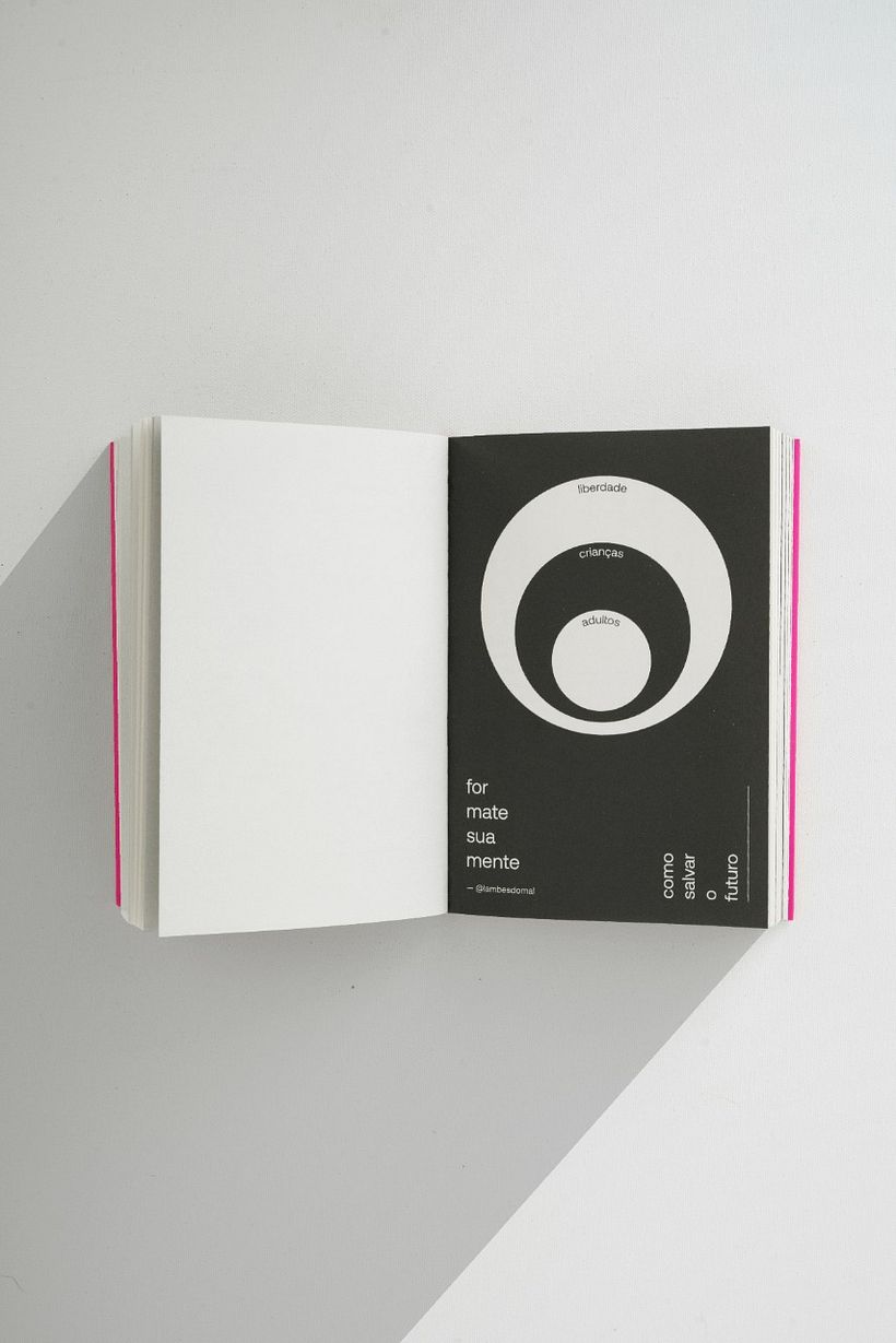 Capa: Bruno Auto / Ilustrações: Luana Adriano /  Fotos: Pedro Miceli