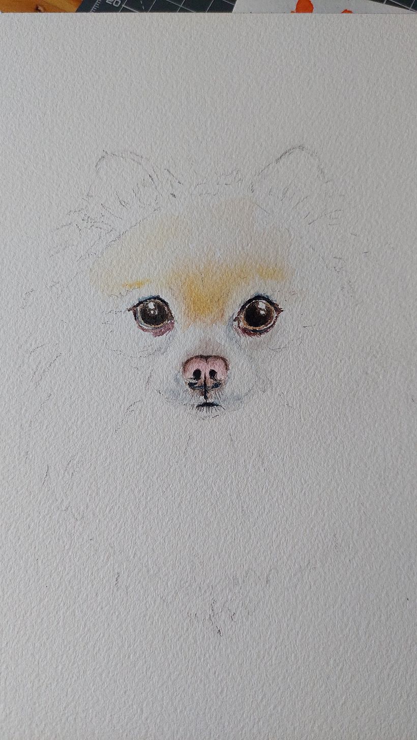 Starting with eyes and nose