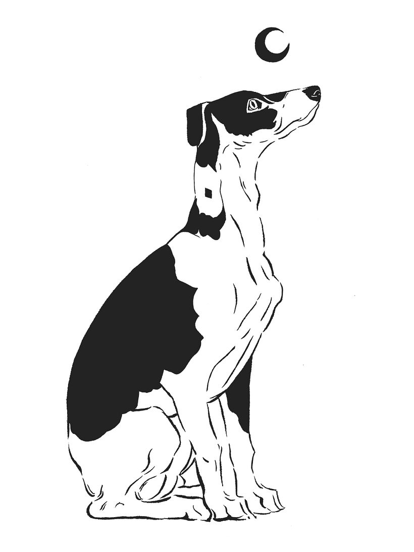 Diseños de Linóleos 6