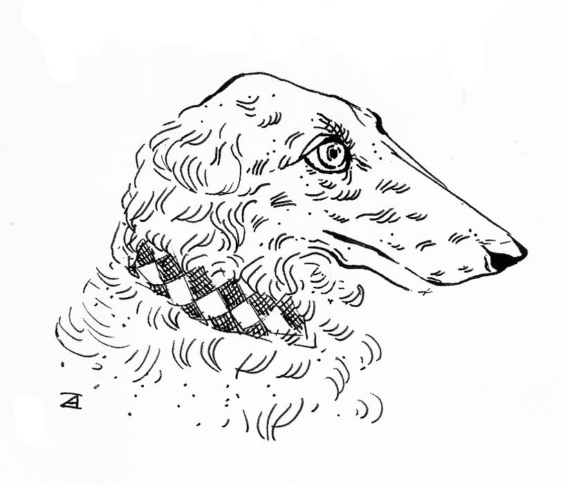 Diseños de Linóleos 7