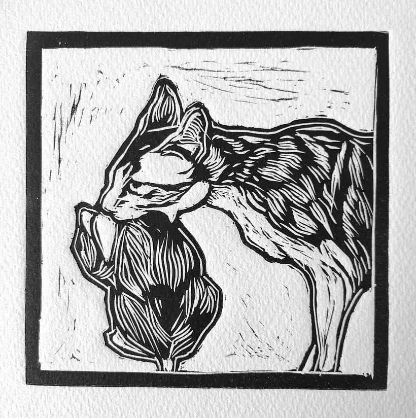 Diseños de Linóleos 8