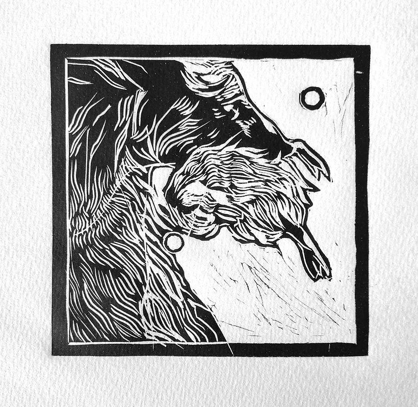 Diseños de Linóleos 9