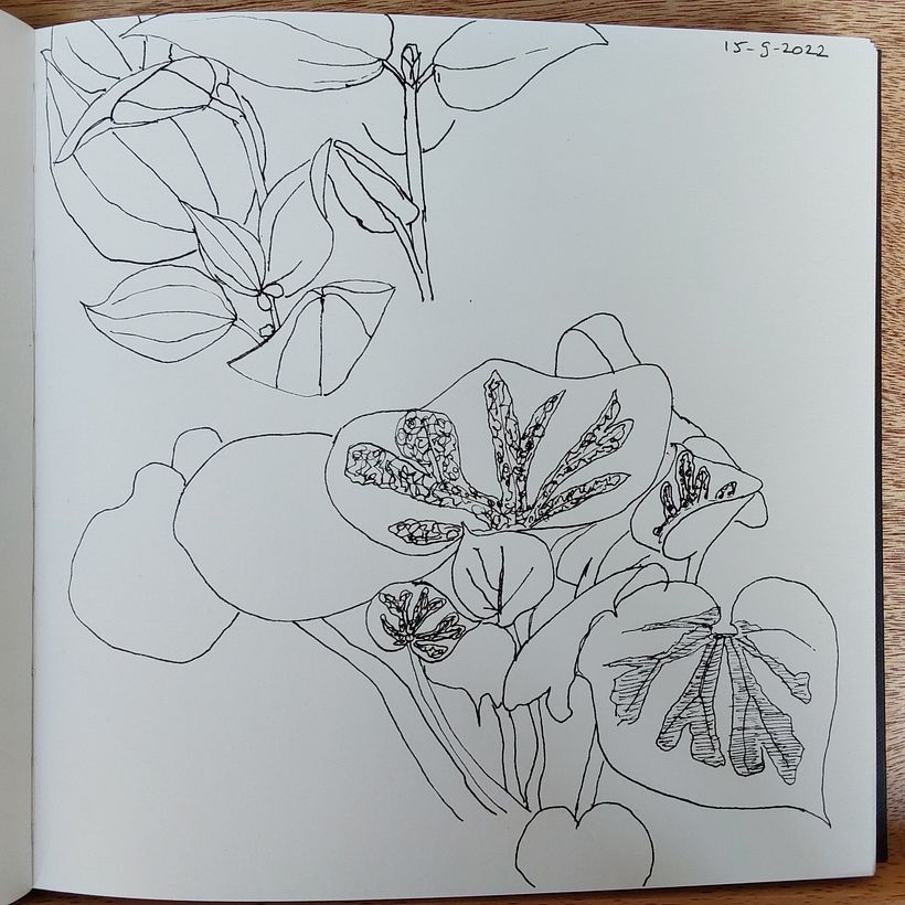 First construction drawings with thick fineliner