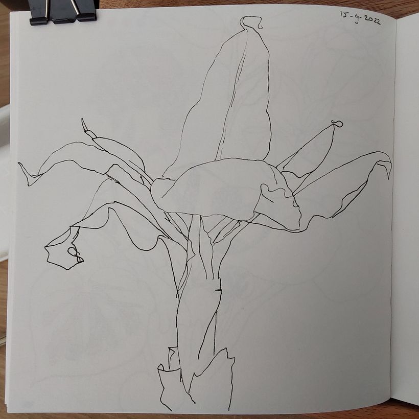 Another drawing with thick fineliner