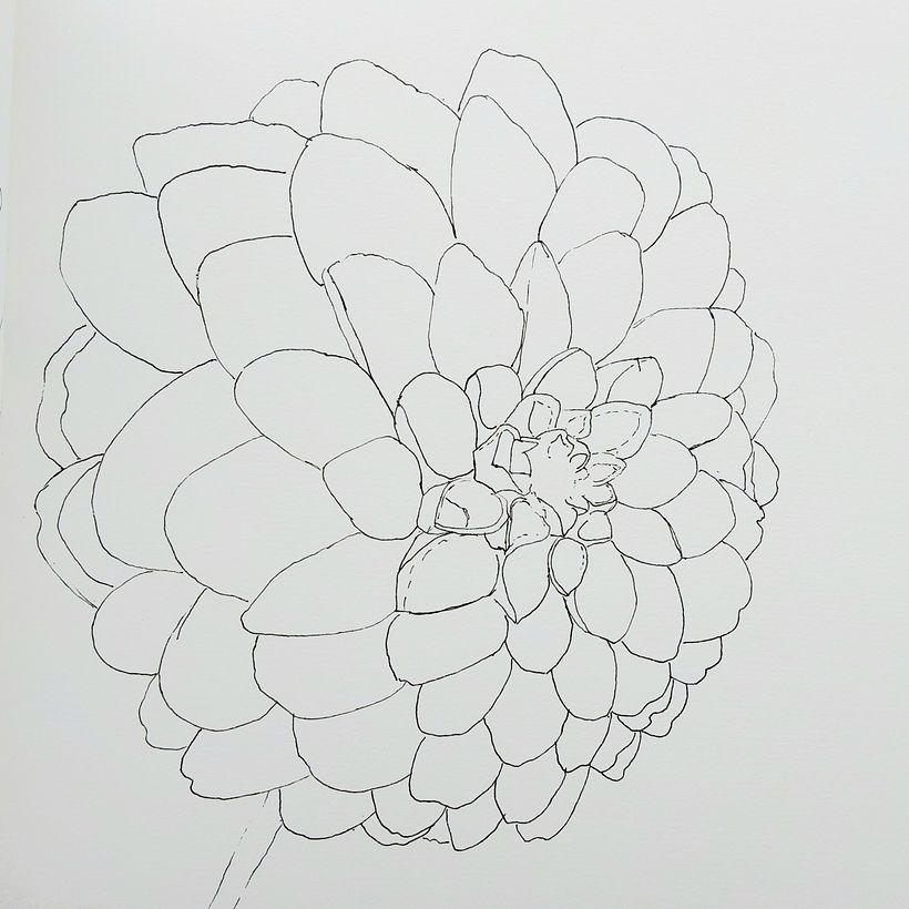First meditative drawing with thin fineliner.