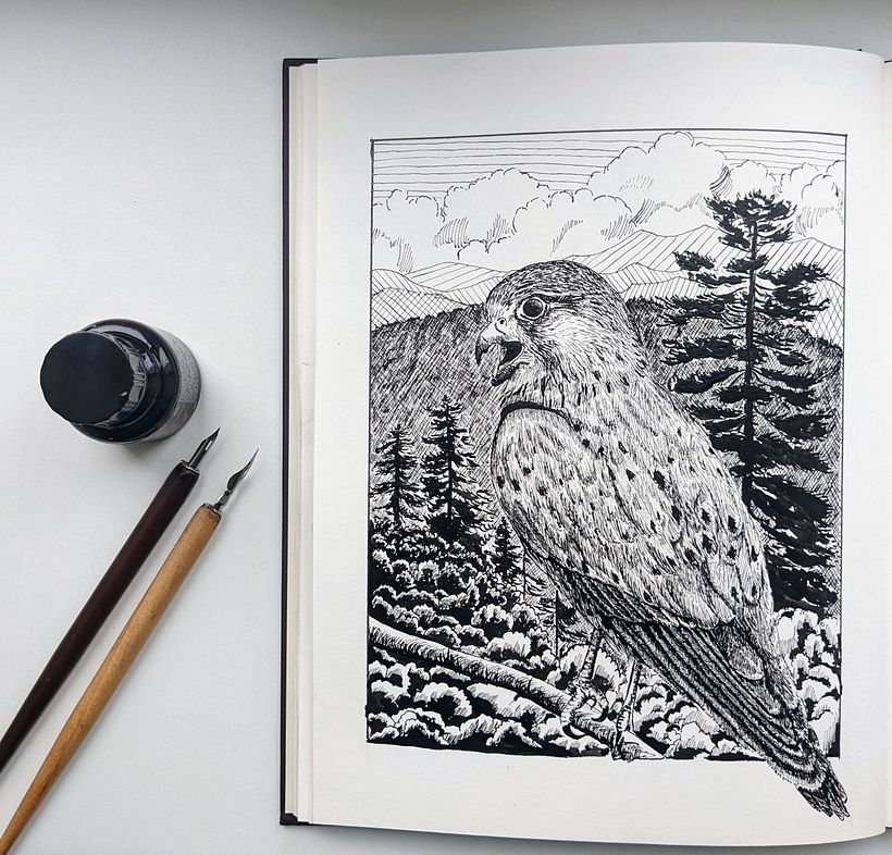 My project for course: Dip Pen and Ink Illustration: Capturing The Natural World 1