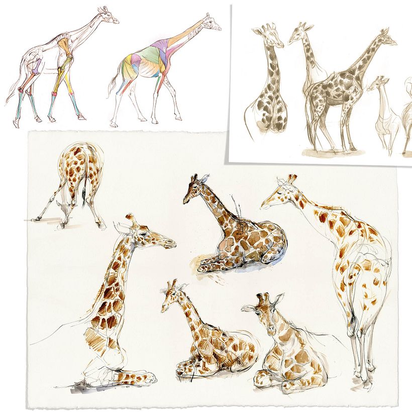 Watercolour the Natural World 17