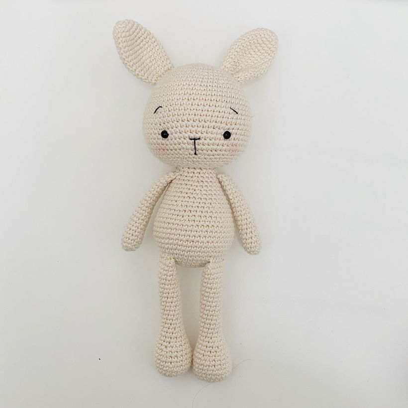 Carrots the Spring Bunny 4