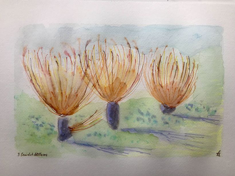 Three Scarlet Willows, 2022