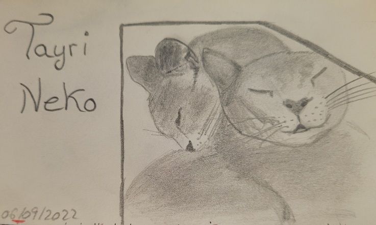 Mi proyecto del curso: Dibujo para principiantes nivel -1 9